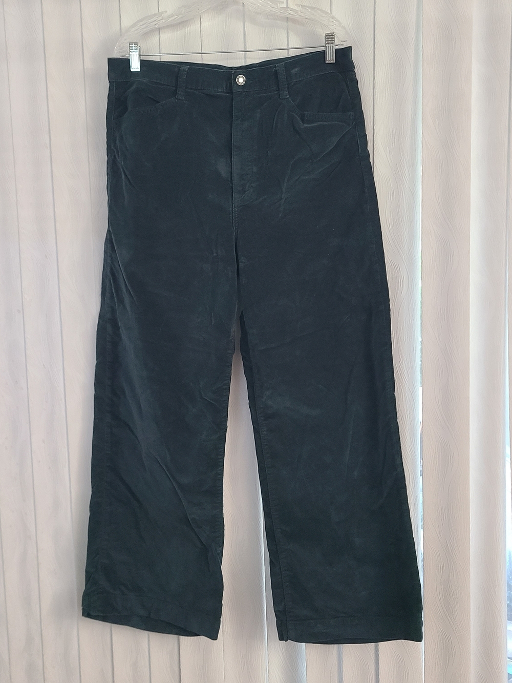 Favorite Daughter Sz 31 Teal Velvet The Mischa Super High Rise Wide Leg Pant